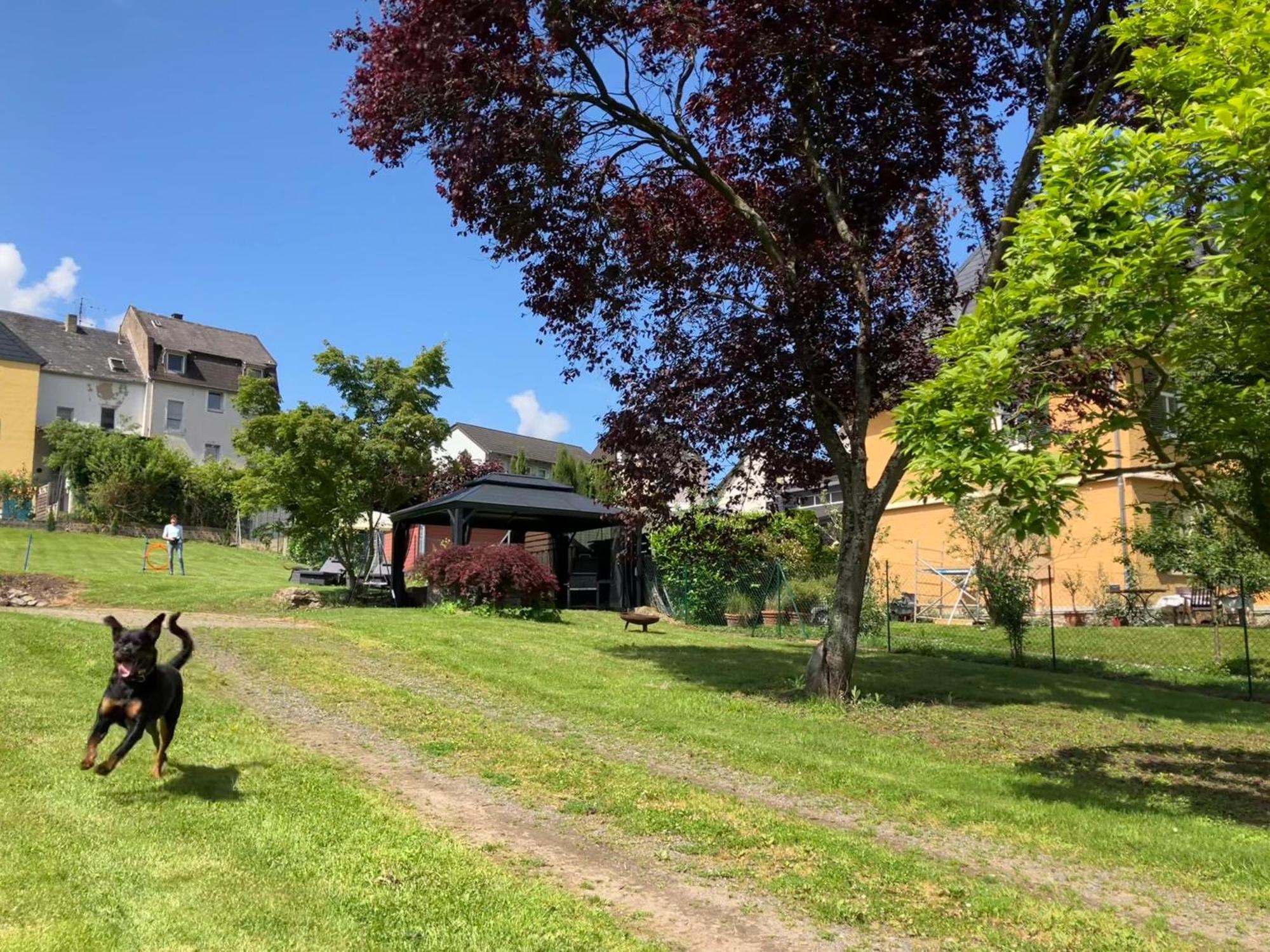 Neu - Ferienwohnungen Im Winzergarten Traben-Trarbach Exteriér fotografie