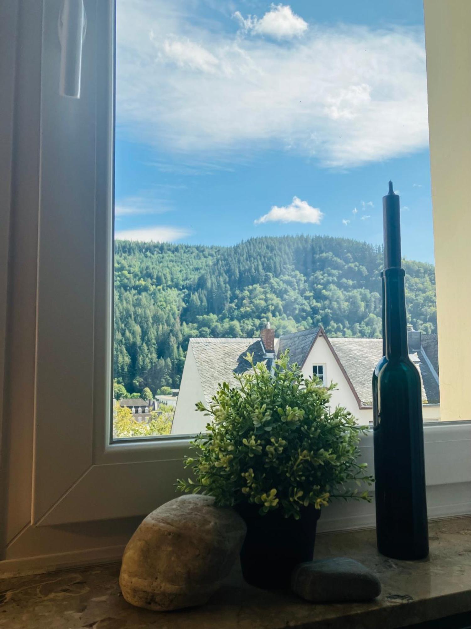 Neu - Ferienwohnungen Im Winzergarten Traben-Trarbach Exteriér fotografie