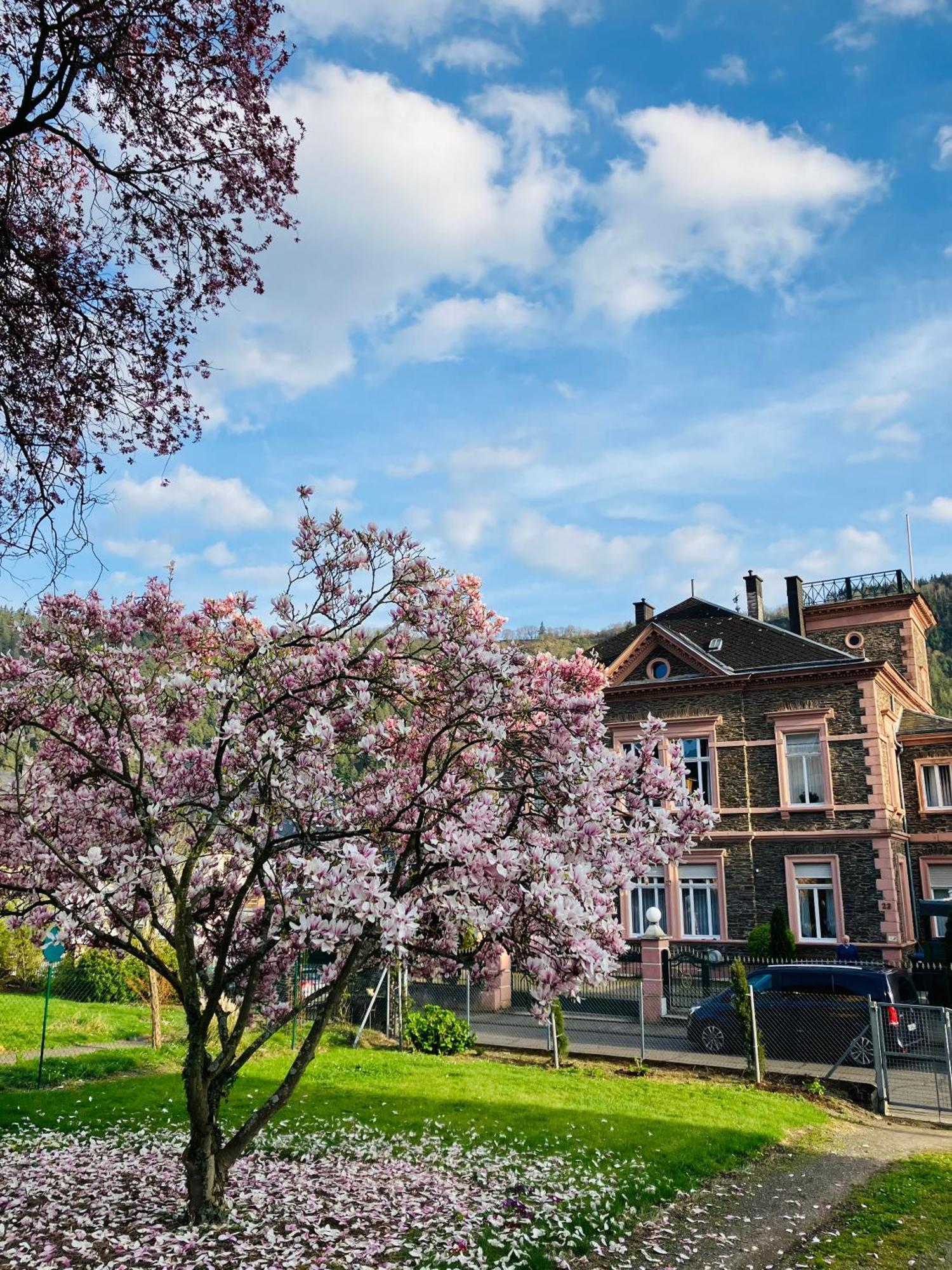 Neu - Ferienwohnungen Im Winzergarten Traben-Trarbach Exteriér fotografie
